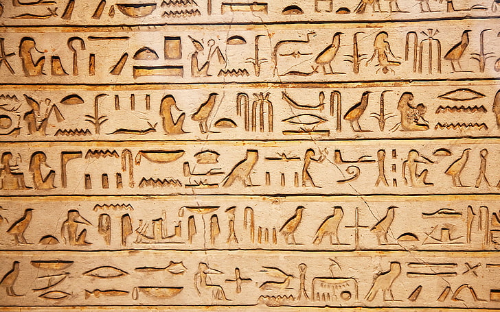 Carved hieroglyphs on an ancient Egyptian wall